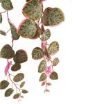Ontwerp kunstmatige hangende planten