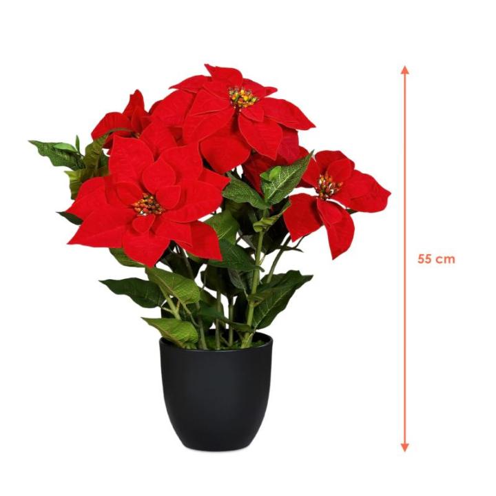 Poinsettia Kunstkerstster in zwarte pot, 55 cm, kunstbloem poinsettia in natuurgetrouwe replica, kerstbloem, decoratieve plant, zijdebloem, kunstplant, winterbloem met fluweelachti
