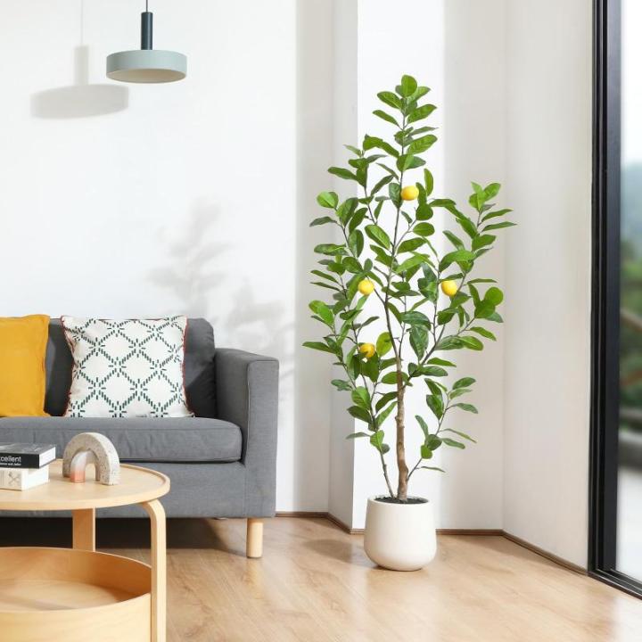 Citroenboom, , 150 cm, grote citroenboom met levensechte vruchten in witte pot, als echt voor moderne decoratie (1 stuks)