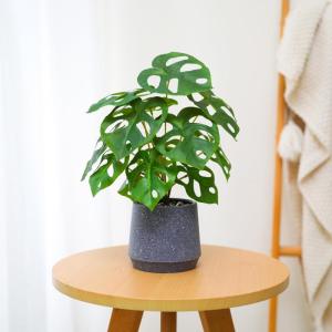 Kunstgroene plant in pot, kunstmatige vetplanten, planten in pot, 32 cm, grote groene kunstmatige plant, groen blad voor thuis, bureau, woonkamer, decoratie