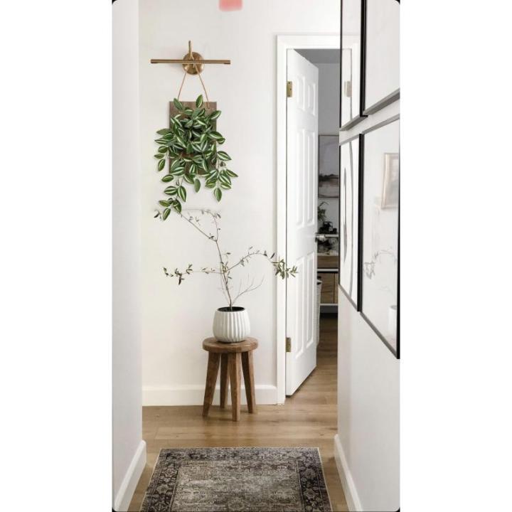 Kunstplant Peperomia watermeloenen als echte hangplant decoratieve planten
