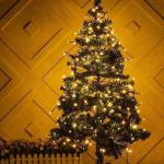 Lichtketting in wit, 20 meter lang