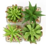 Kunstplant kunstmatige vetplant kamerplant decoratieve woonkamer, badkamer decoratieve plant vetplant, hoogte 10,5 cm, in glazen pot, set van 4