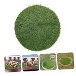 Tapijten schachtdeksel decoratie gazon turnzaal gazon placemat kunstgras placemats van kunstgras placemats van kunstgras campertapijten voor buiten plastic buiten groene planten