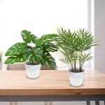 Set van 2 , zoals echt in witte bloempot, Monstera en Areca kunstpalm (25 cm), kunstplant voor decoratie woonkamer, decoratie slaapkamer, badkamerdecoratie,