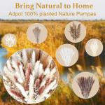 Gedroogde pampasdecoratie, gedroogde bloemen, natuurlijk, 60 stuks, doe-het-zelf, gedroogde bloemen, boeket, ideaal voor boho, woonkamer, bruiloft, slaapkamer en vazen (LZGSGO-0104