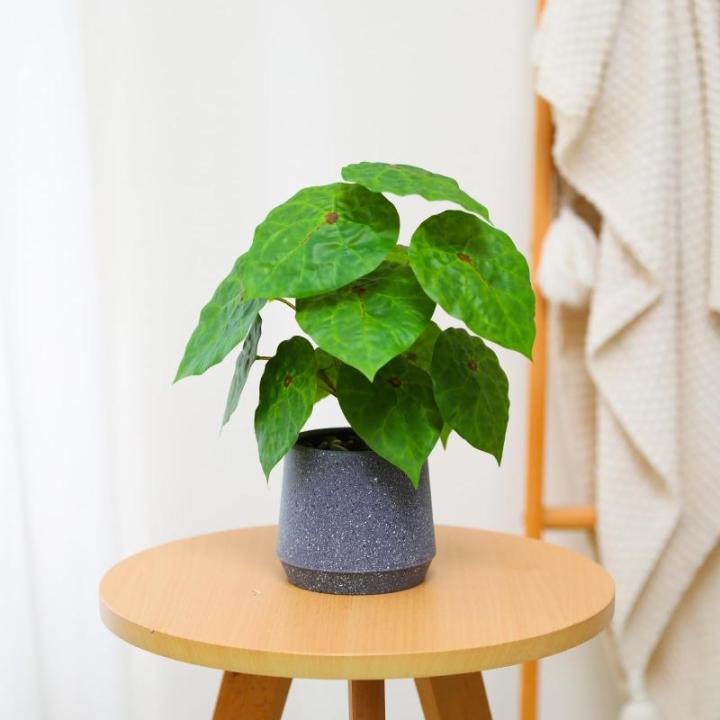 Kunstgroene plant in pot, kunstmatige vetplanten, planten in pot, 32 cm, grote groene kunstmatige plant, groen blad voor thuis, bureau, woonkamer, decoratie