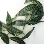 Ontwerp kunstmatige hangende planten