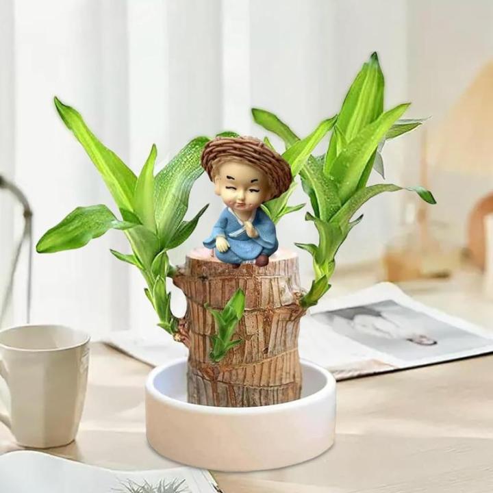 Braziliaans gloeiend hout, Braziliaanse houten plant, mini gelukshhout uit Braziliaanse houten plant met monnikstandbeelden, desktopplant, Braziliaanse houtplant, stomp