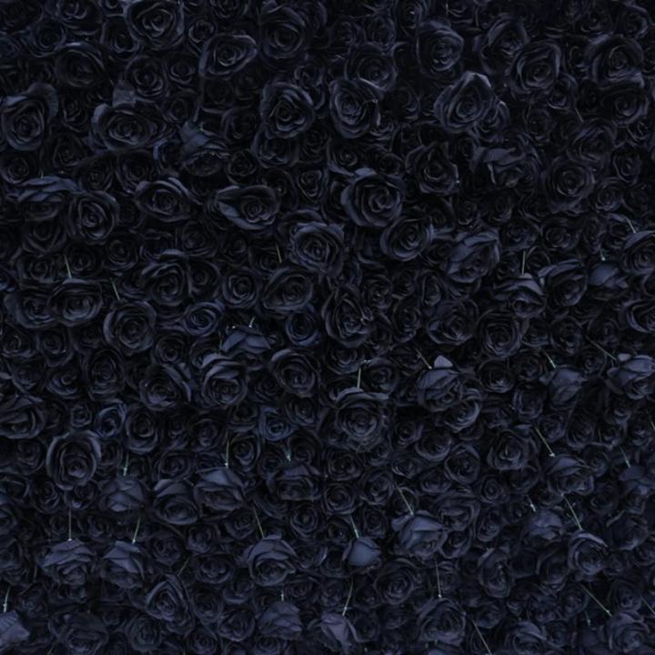 Schwarze Simulations-Rosenwand-Hintergrundwand, Hochdichte 5D-Stoffbasis-Simulations-Blumenwand, Outdoor-Event-Dekoration Für Fotohintergrund Home-Party-Hochzeits-Hintergrund(3.28