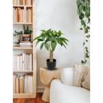 45 cm kunstplant Pachira Aquatica gelukskastanje bonsai in pot, decoratieve plant, kamerplant voor badkamer, eetkamer, woonkamer decoratie