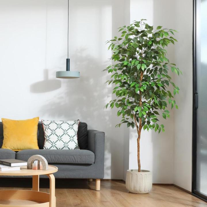 Ficus Benjamina , 180 cm, groot, met natuurhouten stam, kamerplant, kunstboom in pot, voor thuis, kantoor, balkon, decoratie (2 stuks)