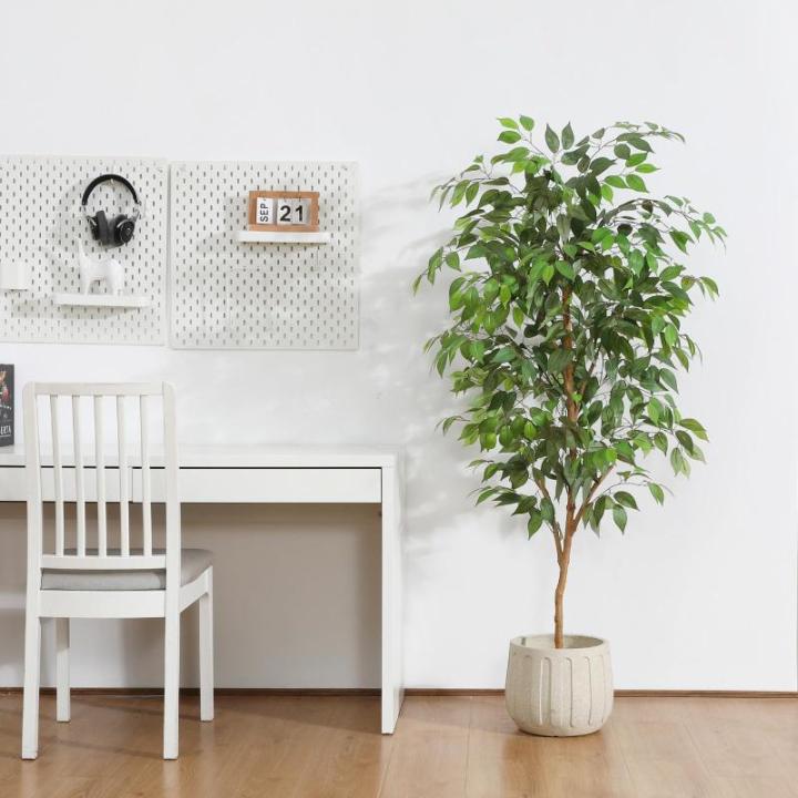 Ficus Benjamina , groot, 150 cm, met natuurhouten stam, kamerplant, kunstboom in pot, voor thuis, kantoor, balkon, decoratie (1 stuks)