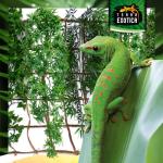 Kunstplant cannabis/hennep, hangplant voor terraria, als verstopplaats voor je terrarium, The Wind Claw Blaven, wijnstok 30-60 cm (medium 40 cm)