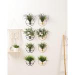 Wandgemonteerde bloemenringen, metalen vaas decoratieve houder kunstbloemen, zwarte wanddecoratie voor familiebijeenkomsten, geschenken en feest, valse tarwe 2 pack, kunst aan de m
