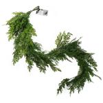 Ontwerp kunstmatige hangende planten
