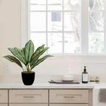 Kunstplant Calathea, kamerplant, kunstplant als echt struikachtig met 8 gekleurde bladeren in kunststof pot, hoogte 33 cm, groen-rood