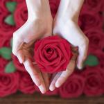 50Pcs Rote Rosen Künstliche Blumen, Dunkel Rot Rosen Schaum Gefälschte Rosen Blumen Bulk mit Stiel DIY für Hochzeit Brautsträuße Mittelstücke, Valentinstag, Muttertag, Party 