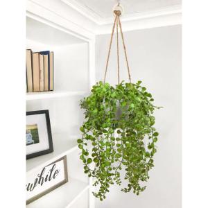 Kunstmatige planten Ficus Pumila Hangplant Kamer Wand Decoratie Aesthetische Kunstplant, Hoogte 35,5 cm, in Hanglamp