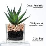 Kunstplant kunstmatige vetplant kamerplant decoratieve woonkamer, badkamer decoratieve plant vetplant, hoogte 10,5 cm, in glazen pot, set van 3