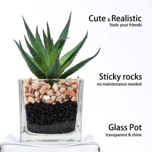Kunstplant kunstmatige vetplant kamerplant decoratieve woonkamer, badkamer decoratieve plant vetplant, hoogte 10,5 cm, in glazen pot, set van 3