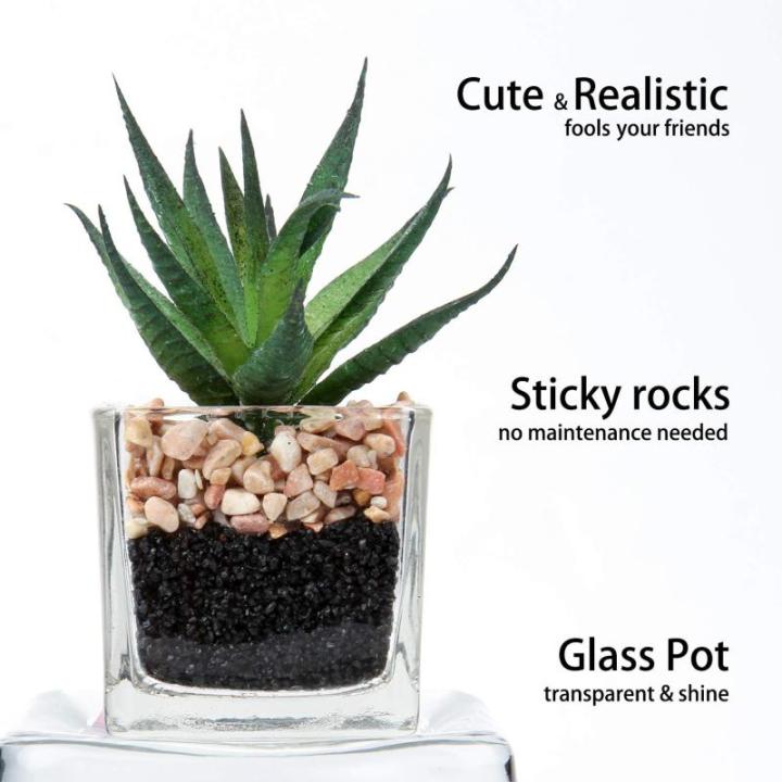 Kunstplant kunstmatige vetplant kamerplant decoratieve woonkamer, badkamer decoratieve plant vetplant, hoogte 10,5 cm, in glazen pot, set van 3