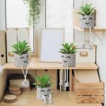 Kunstplant in pot, mini-kunstvetplanten, met hangende poten, emotioneel cement, potplant, faux decoratieve plant voor kantoor, woonkamer, tafeldecoratie, boekenkast, kerstdecoratie