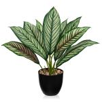 Kunstplant Calathea, kamerplant, kunstplant als echt struikachtig met 8 gekleurde bladeren in kunststof pot, hoogte 33 cm, groen-rood