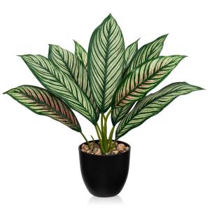 Kunstplant Calathea, kamerplant, kunstplant als echt struikachtig met 8 gekleurde bladeren in kunststof pot, hoogte 33 cm, groen-rood