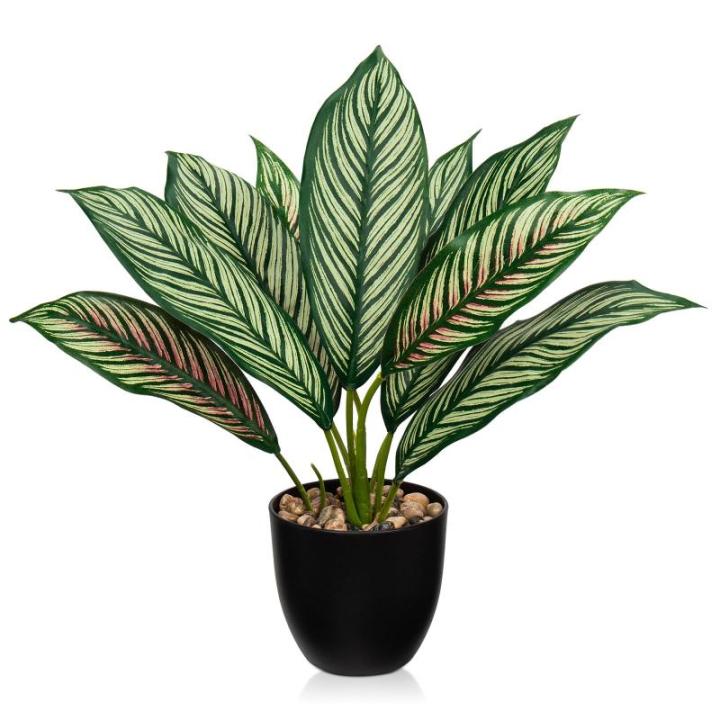 Kunstplant Calathea, kamerplant, kunstplant als echt struikachtig met 8 gekleurde bladeren in kunststof pot, hoogte 33 cm, groen-rood