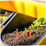 1 Satz Karotte Simulationsgemüse Puppenhaus-miniaturen Essen Möhren Mini-gemüse Mini Scale Gartendeko Rostoptik Künstliche Pflanzen Gefälschtes Gemüse Schaumstoff Styropor 25