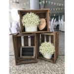 Gypsophila, 10 stuks, , net als echte kunsttak, boeketten voor bruiloft, feest, thuisdecoratie