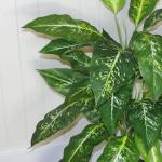 Realistische künstliche Palme und Tropische Bäume im Topf – fertig zum Ausstellen