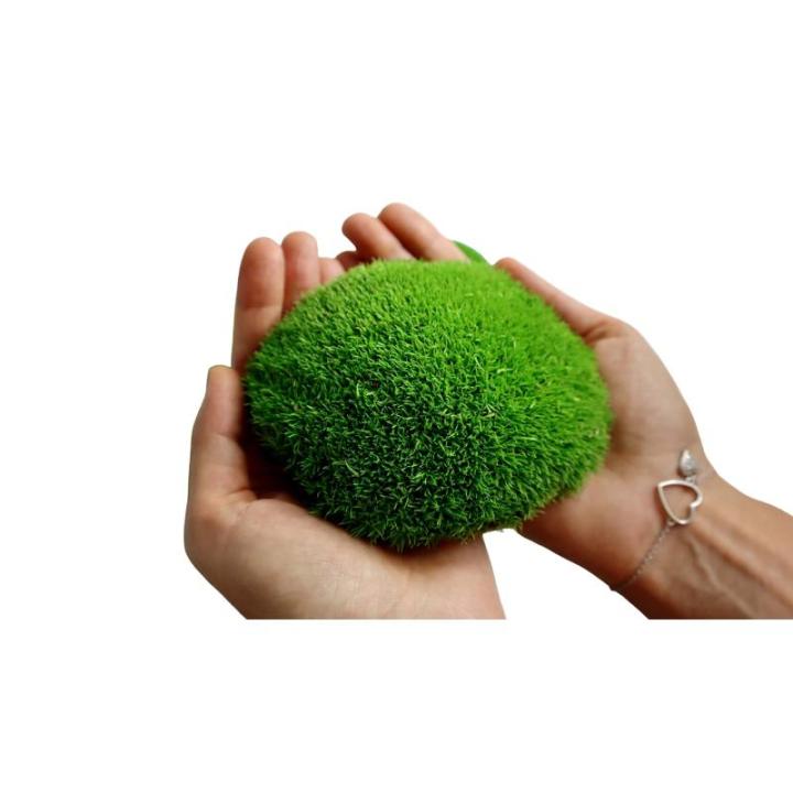 Hello Moss geconserveerd mos 8 stuks - mosdecoratie voor jou - kogelmos geconserveerd voor je huis - maak een mosafbeelding - geschikt als mos voor terraria en bossen in glas