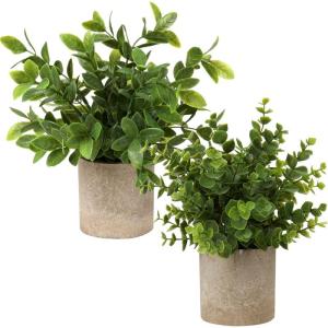 in pot, , klein als echt, 2 stuks, bureauplanten, mini-voor tafeldecoratie, huis, balkon, kantoor, decoratie #01