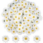 100Pcs Kunstmatige Gerbera Daisy Zijde Bloemen Heads 4Cm Wit Nep Gerbera Bloemblaadjes Voor Party Bruiloft Tafel Verspreid Confetti Scrapbooking Accessoires Uitnodigingskaarten Dec