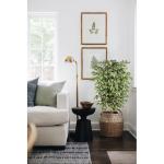 Benjamini Ficus, , grote kunstboom, kamerplant, decoratie met echte houten stam, voor kantoor, decoratie, slaapkamer, eetkamer, binnen, buiten, groen/wit, 123 cm