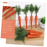 6 STK Künstliche Karotten Ostern-Karotten-stütze Osterparty Dekoration Foto-Requisiten Zu Ostern Karottendekor Zu Ostern Falsche Karotte Ornament Plastik Lebensmittel Gefälscht