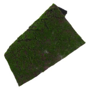 Simulierter Moosrasen Kunstgraswand Putting-Green Im Freien Gefälschte Graswand Kunstrasenwand Kunstrasen Im Freien Graswand Im Hintergrund Kunstrasenmatte Grüne Wandkulisse Tuft