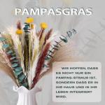 Gedroogde pampasdecoratie, natuurlijke gedroogde bloemen, 100 stuks, doe-het-zelf, gedroogde bloemen, boeket, ideaal voor boho, woonkamer, bruiloft, slaapkamer en vazen (LZGSGO-010