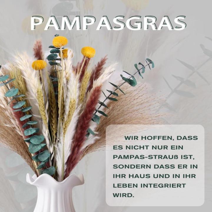 Gedroogde pampasdecoratie, natuurlijke gedroogde bloemen, 100 stuks, doe-het-zelf, gedroogde bloemen, boeket, ideaal voor boho, woonkamer, bruiloft, slaapkamer en vazen (LZGSGO-010