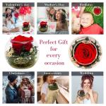 Eeuwige roos in glas met rozengeur, handgemaakt, roze, echte roos in geschenkdoos, cadeau voor vrouwen, mama, geconserveerde bloem voor Kerstmis, Valentijnsdag, Moederdag, decorati