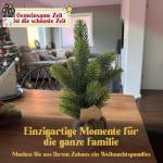 Kleine kunstkerstboom, 35 cm, natuurgetrouwe replica met spuitgietelementen, kunstkerstboom, decoratie, dennenboom, kerstdecoratie (groen, 35 cm)