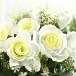2 stuks kunstmatige rozen bloemen kunstmatige hangende mand plant wijnstok nep zijde hangende bloem voor tuin muur hek bruiloft balkon outdoor indoor huis deur decoratie