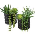 2 stuks kunstvetplanten, voor woondecoratie, gepot kunstvetplanten, kunstvetplanten, in keramische potten, moderne voor binnen, voor badkamer, plank, kantoordecoratie