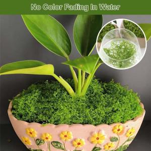 Mos, 150 g voor mosafbeeldingen, mosafbeelding, kunstmos, kunstmos, mos om te knutselen, mosdecoratie, kunstmos, mos, conservert, decoratief mos, kunstmos om te knutselen, moswand