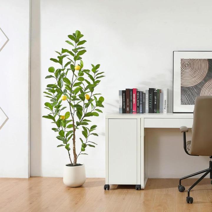 Citroenboom, , 150 cm, grote citroenboom met levensechte vruchten in witte pot, als echt voor moderne decoratie (1 stuks)