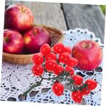 8 STK Simulierte Kirschtomaten Obst-Requisite Simulation Gemüse Obst Hausbedarf Sie Gemüse-Requisiten An Lebensechte Tomaten Falsches Obst Simulation Obstdekoration PVC Rot