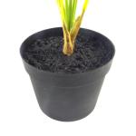 Realistische künstliche Palme und Tropische Bäume im Topf – fertig zum Ausstellen