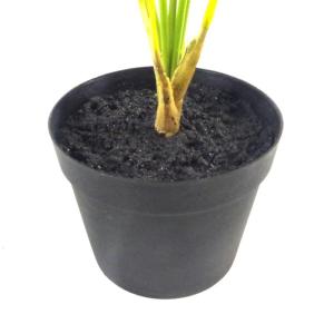 Realistische künstliche Palme und Tropische Bäume im Topf – fertig zum Ausstellen